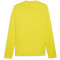 PUMA teamGOAL Trainings-Sweatshirt Herren 07 - faster yellow/puma black/sport yellow S