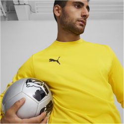 PUMA teamGOAL Trainings-Sweatshirt Herren 07 - faster yellow/puma black/sport yellow M