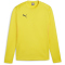 PUMA teamGOAL Trainings-Sweatshirt Herren 07 - faster yellow/puma black/sport yellow M