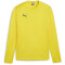 PUMA teamGOAL Trainings-Sweatshirt Herren 07 - faster yellow/puma black/sport yellow XL