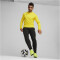 PUMA teamGOAL Trainings-Sweatshirt Herren 07 - faster yellow/puma black/sport yellow XL