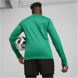 PUMA teamGOAL Trainings-Sweatshirt Herren 05 - sport green/power green/puma white S