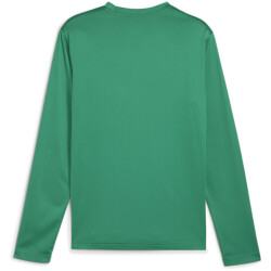 PUMA teamGOAL Trainings-Sweatshirt Herren 05 - sport green/power green/puma white S