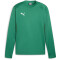 PUMA teamGOAL Trainings-Sweatshirt Herren 05 - sport green/power green/puma white S