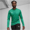 PUMA teamGOAL Trainings-Sweatshirt Herren 05 - sport green/power green/puma white S