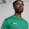 PUMA teamGOAL Trainings-Sweatshirt Herren 05 - sport green/power green/puma white S
