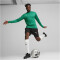 PUMA teamGOAL Trainings-Sweatshirt Herren 05 - sport green/power green/puma white S