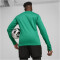 PUMA teamGOAL Trainings-Sweatshirt Herren 05 - sport green/power green/puma white S