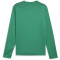 PUMA teamGOAL Trainings-Sweatshirt Herren 05 - sport green/power green/puma white S