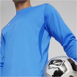 PUMA teamGOAL Trainings-Sweatshirt Herren 02 - electric blue lemonade/puma white/puma team royal M