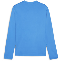 PUMA teamGOAL Trainings-Sweatshirt Herren 02 - electric blue lemonade/puma white/puma team royal M