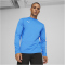 PUMA teamGOAL Trainings-Sweatshirt Herren 02 - electric blue lemonade/puma white/puma team royal M