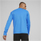 PUMA teamGOAL Trainings-Sweatshirt Herren 02 - electric blue lemonade/puma white/puma team royal M