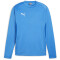 PUMA teamGOAL Trainings-Sweatshirt Herren 02 - electric blue lemonade/puma white/puma team royal 3XL