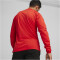 PUMA teamGOAL Trainings-Sweatshirt Herren 01 - PUMA red/PUMA white/fast red M