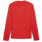 PUMA teamGOAL Trainings-Sweatshirt Herren 01 - PUMA red/PUMA white/fast red M
