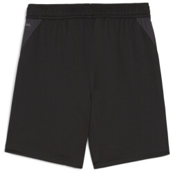 PUMA teamGOAL Trainingsshorts Jungen 03 - PUMA black/PUMA...
