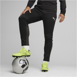 PUMA teamGOAL Trainingshose Herren 03 - PUMA black/PUMA...