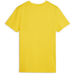 PUMA teamGOAL Trikot Damen 07 - faster yellow/puma...