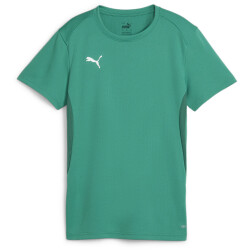 PUMA teamGOAL Trikot Damen 05 - sport green/puma white XS