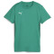 PUMA teamGOAL Trikot Damen 05 - sport green/puma white S