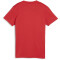 PUMA teamGOAL Trikot Damen 01 - PUMA red/PUMA white S