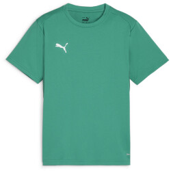 PUMA teamGOAL Trikot Jungen 05 - sport green/puma...