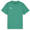 PUMA teamGOAL Trikot Jungen 05 - sport green/puma white/power green 116