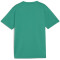 PUMA teamGOAL Trikot Jungen 05 - sport green/puma white/power green 116
