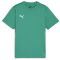 PUMA teamGOAL Trikot Jungen 05 - sport green/puma white/power green 164