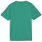 PUMA teamGOAL Trikot Jungen 05 - sport green/puma white/power green 164