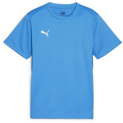 PUMA teamGOAL Trikot Jungen 02 - electric blue...