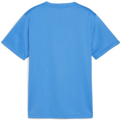 PUMA teamGOAL Trikot Jungen 02 - electric blue...