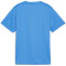 PUMA teamGOAL Trikot Jungen 02 - electric blue lemonade/puma white/puma team royal 116