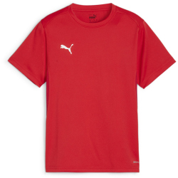 PUMA teamGOAL Trikot Jungen 01 - PUMA red/PUMA white/fast...