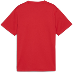 PUMA teamGOAL Trikot Jungen 01 - PUMA red/PUMA white/fast...