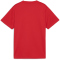 PUMA teamGOAL Trikot Jungen 01 - PUMA red/PUMA white/fast red 164
