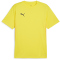 PUMA teamGOAL Trikot Herren 07 - faster yellow/puma black/sport yellow S