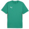 PUMA teamGOAL Trikot Herren 05 - sport green/puma white/power green S