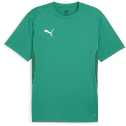 PUMA teamGOAL Trikot Herren 05 - sport green/puma...