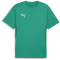 PUMA teamGOAL Trikot Herren 05 - sport green/puma white/power green L