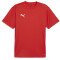 PUMA teamGOAL Trikot Herren 01 - PUMA red/PUMA white/fast red XXL