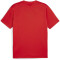 PUMA teamGOAL Trikot Herren 01 - PUMA red/PUMA white/fast red XXL