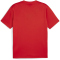 PUMA teamGOAL Trikot Herren 01 - PUMA red/PUMA white/fast red 3XL