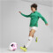 PUMA teamGOAL Trainingsjacke Damen 05 - sport green/puma white/power green XS