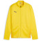 PUMA teamGOAL Trainingsjacke Jungen 07 - faster yellow/puma black/sport yellow 116