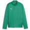 PUMA teamGOAL Trainingsjacke Jungen 05 - sport green/puma white/power green 116