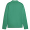 PUMA teamGOAL Trainingsjacke Jungen 05 - sport green/puma white/power green 116