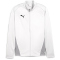 PUMA teamGOAL Trainingsjacke Jungen 04 - PUMA white/feather gray/PUMA black 116