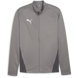PUMA teamGOAL Trainingsjacke Herren 13 - cast iron/puma...